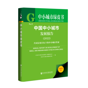 中国中小城市发展报告（2022）：共同富裕目标下的中小城市发展_978-7-5228-0961-8_立体